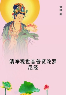 清净观世音普贤陀罗尼经