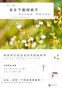 去乡下盖间房子