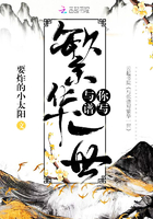 與你譜寫繁華一世在線閱讀