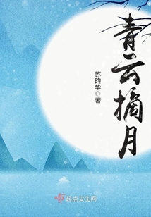 青云摘月