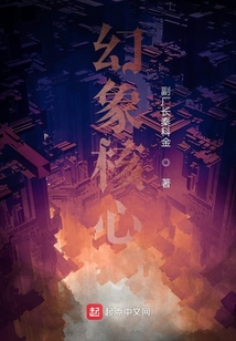 幻象核心