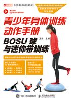 青少年身体训练动作手册：BOSU球与迷你带训练