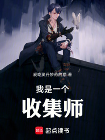我是一個收集師