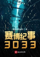 赛博朋克3033