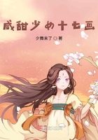 咸甜少女十七画