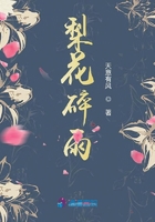 梨花碎雨在线阅读