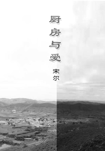 廚房輿愛