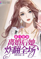 豪门罪妻:离婚后她炸翻全场在线阅读