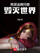 死灵法师只想毁灭世界