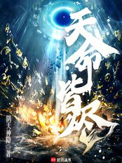 天命皆烬（安靖）在线阅读