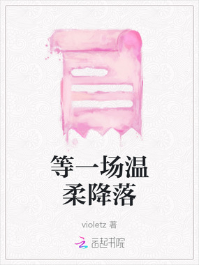 等一场温柔降落在线阅读