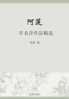 阿莲：章衣萍作品精选（中国文学大师经典必读）在线阅读