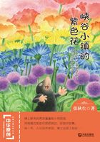 峡谷小镇的紫色花（中华原创幻想儿童文学大系）