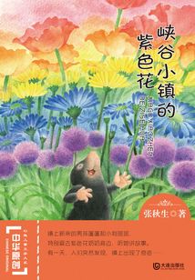 峽谷小鎮的紫色花（中華原創幻想兒童文學大系）