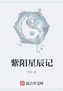 紫陽星辰記