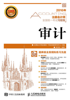注册会计师全国统一考试习题集:审计在线阅读