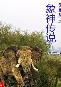 無影界之象神傳說
