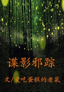 諜影邪蹤