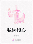 弦婉傾心在線閱讀