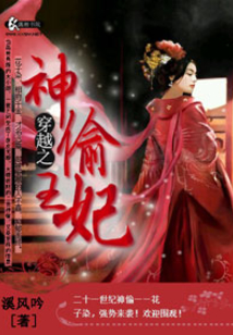穿越之神偷王妃
