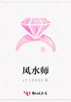 风水师在线阅读