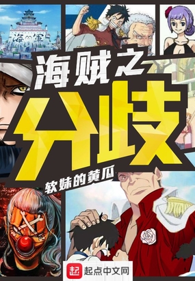 海贼之分歧在线阅读