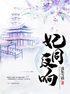 妃同反響在線閱讀