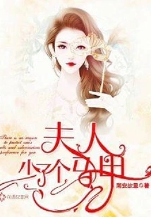 夫人少了个马甲 封面