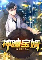 神瞳宝婿