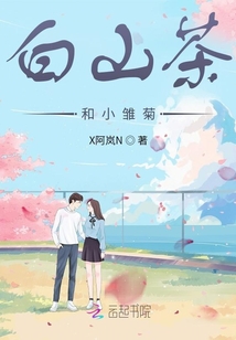 白山茶和小雛菊