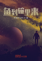 鱼到碗里来在线阅读