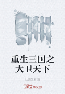 重生三國(guó)之大衛(wèi)天下