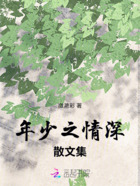 年少之情深散文集在線閱讀