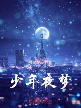 少年夜梦在线阅读