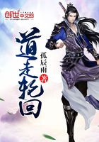 道走轮回在线阅读