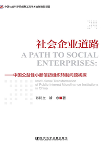 社會(huì)企業(yè)道路:中國(guó)公益性小額信貸組織轉(zhuǎn)制問(wèn)題初探