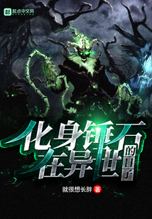 化身锤石在异世的日子