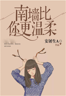 南墻比你更溫柔