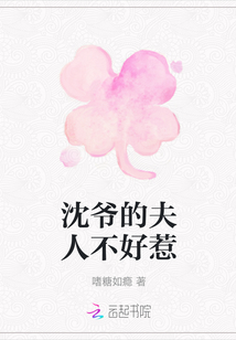 沈爺的夫人不好惹