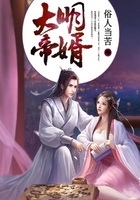 大明帝婿在线阅读
