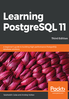 Learning PostgreSQL 11在線閱讀