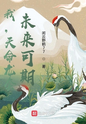 我，天命龙套，未来可期在线阅读