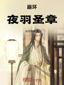 崩壞:夜羽圣章