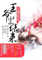 火爆醫(yī)妃：王爺出墻來在線閱讀