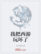 我把西游玩坏了在线阅读