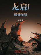 龙启1晨暮相融在线阅读