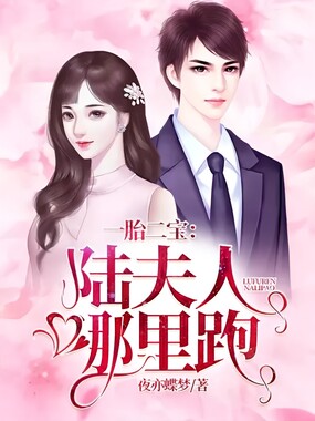 一胎二宝：陆夫人哪里跑在线阅读