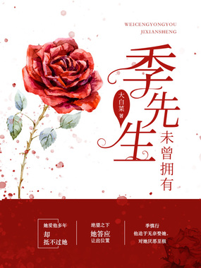 未曾拥有季先生在线阅读