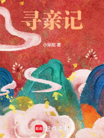 寻亲记在线阅读