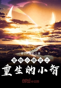 寵物小精靈之重生的小智